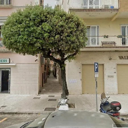 Il Vico